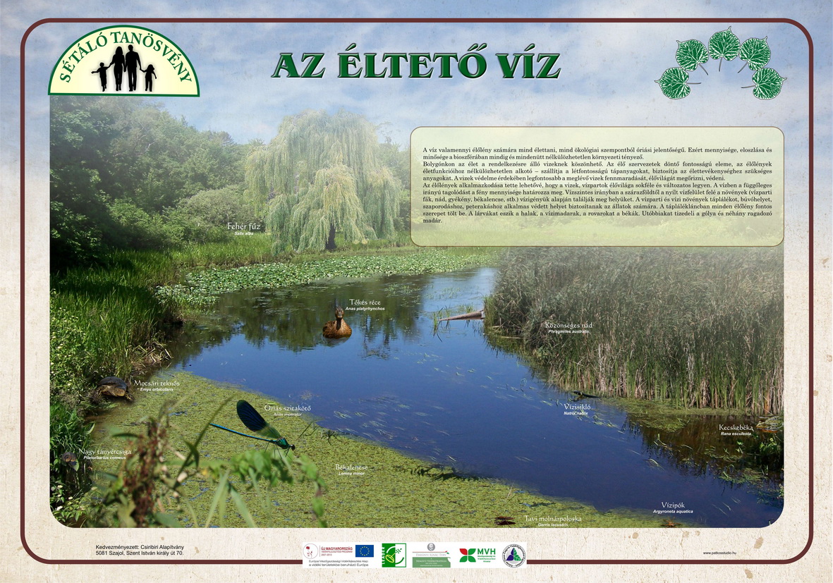 Sétáló tanösvény, Szajol