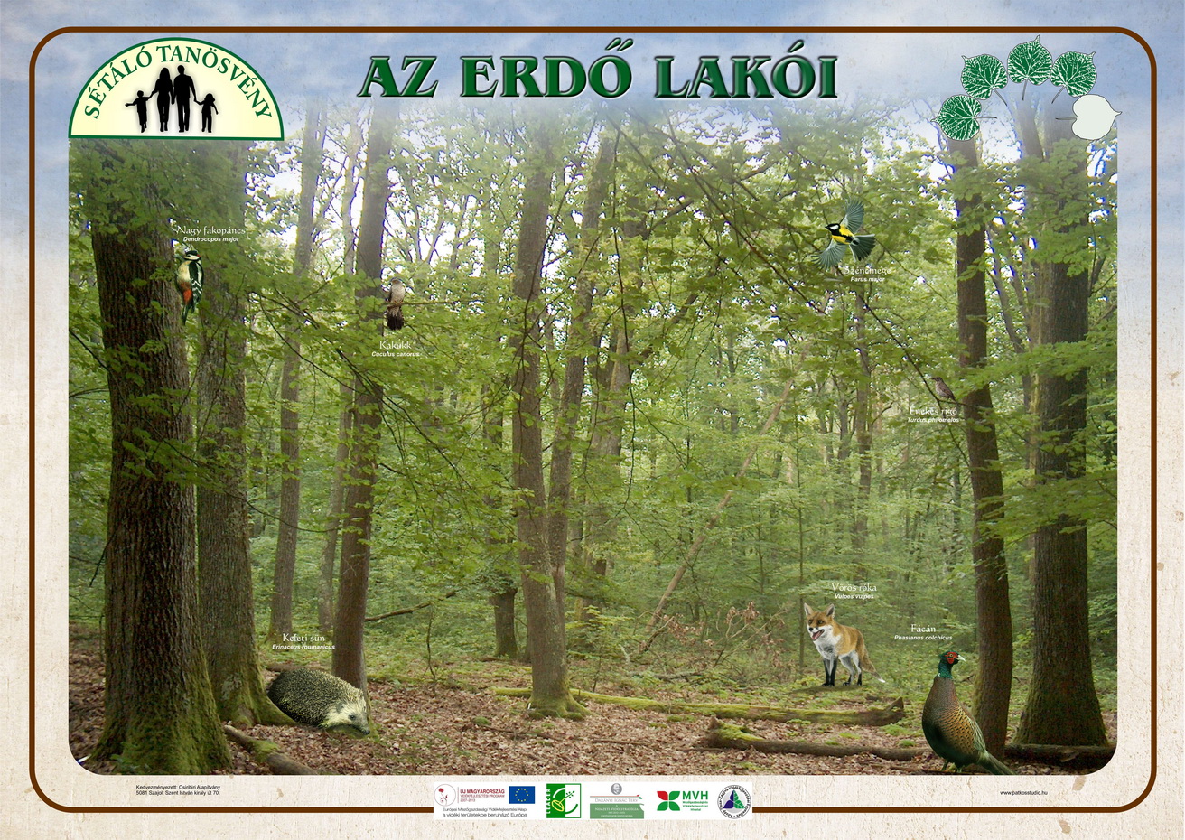 Sétáló tanösvény, Szajol