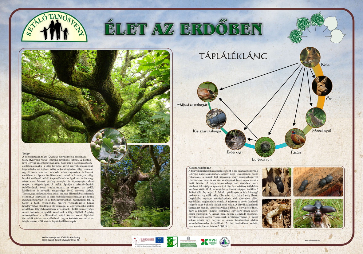 Sétáló tanösvény, Szajol