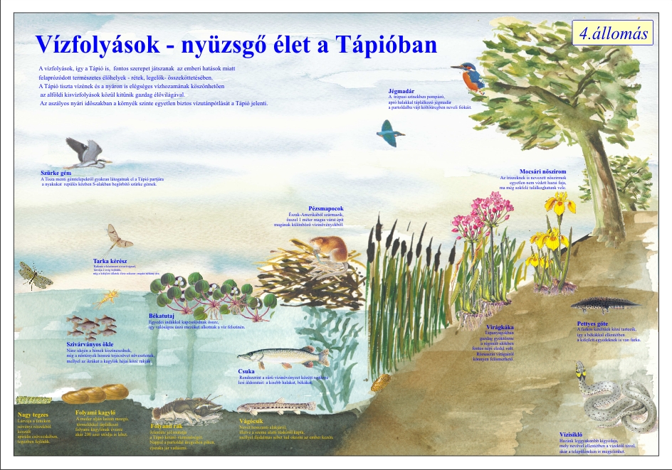 Bíbic tanösvény, Tápiógyörgye