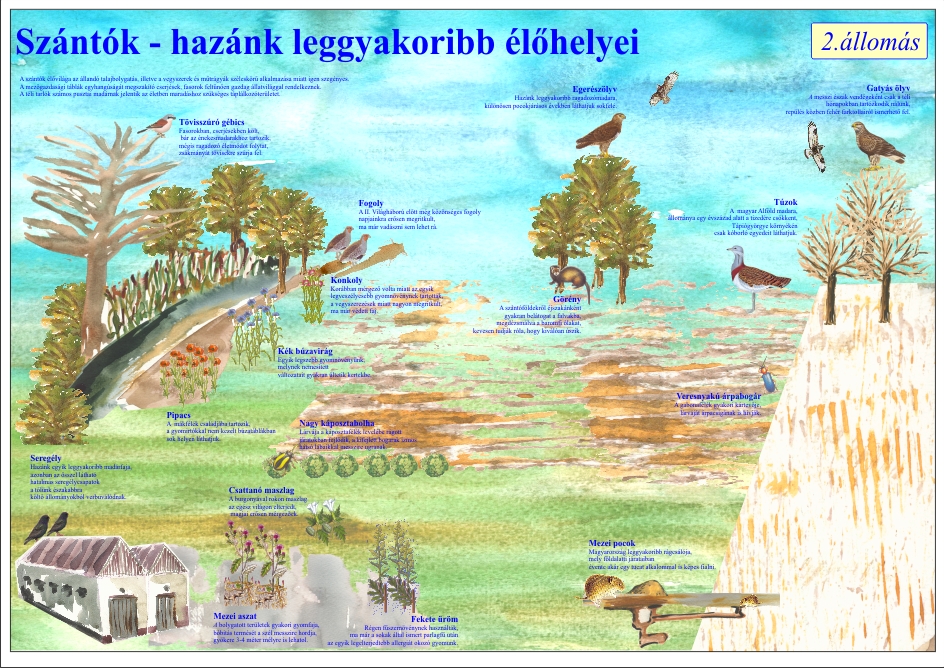 Bíbic tanösvény, Tápiógyörgye