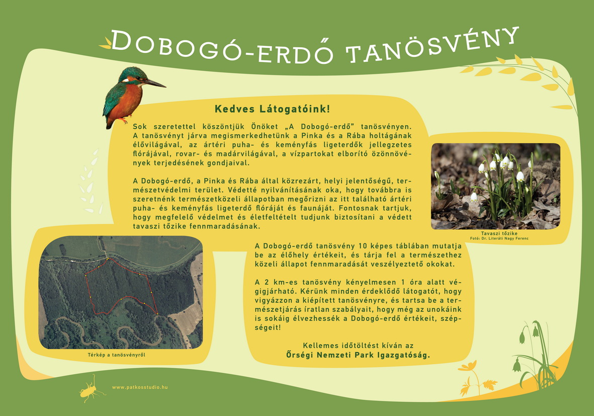 Dobogó-erdő tanösvény