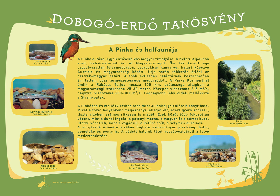 Dobogó-erdő tanösvény