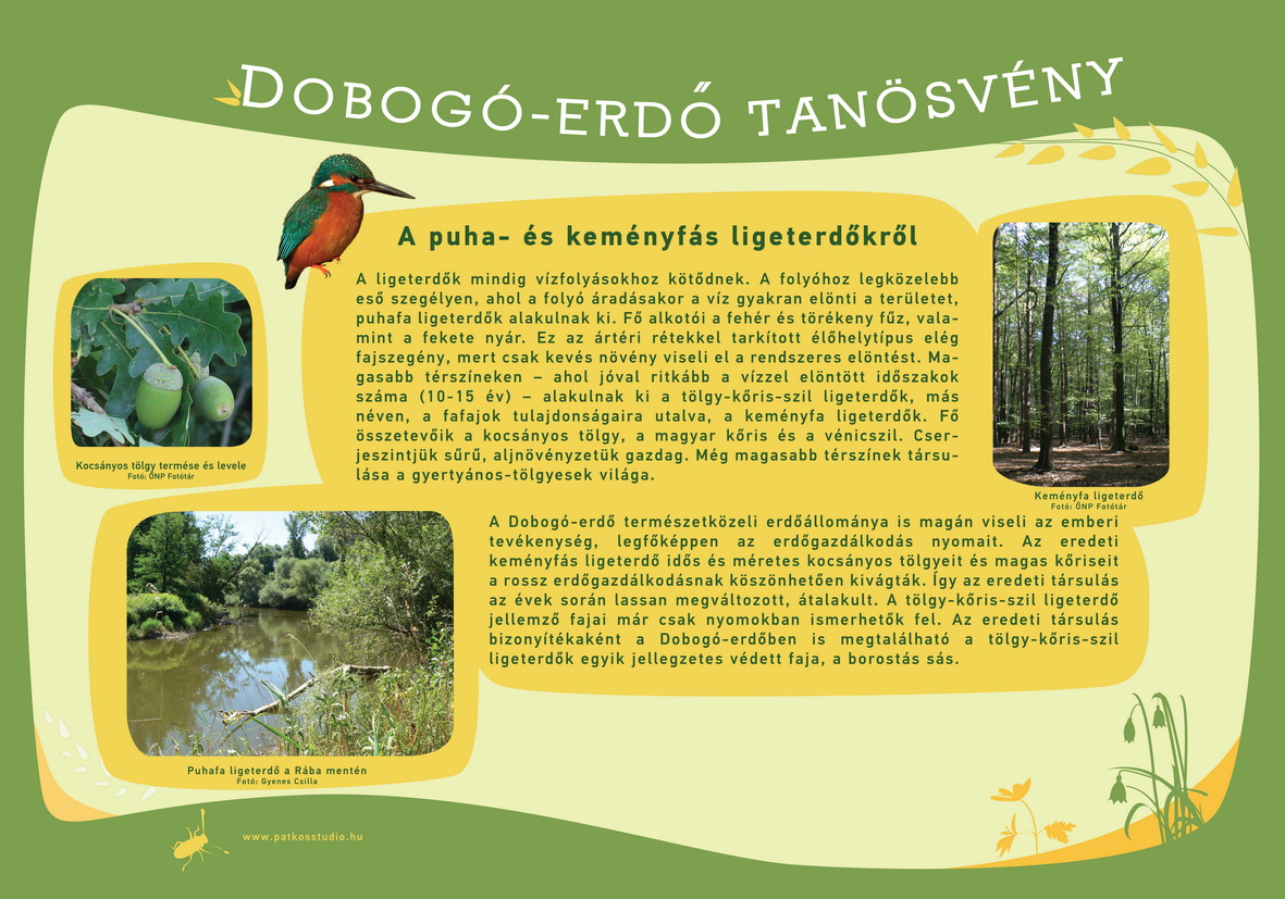 Dobogó-erdő tanösvény