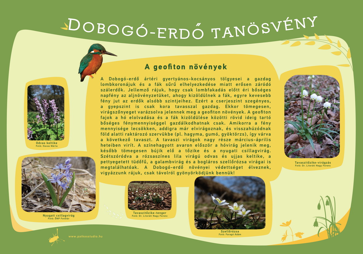 Dobogó-erdő tanösvény