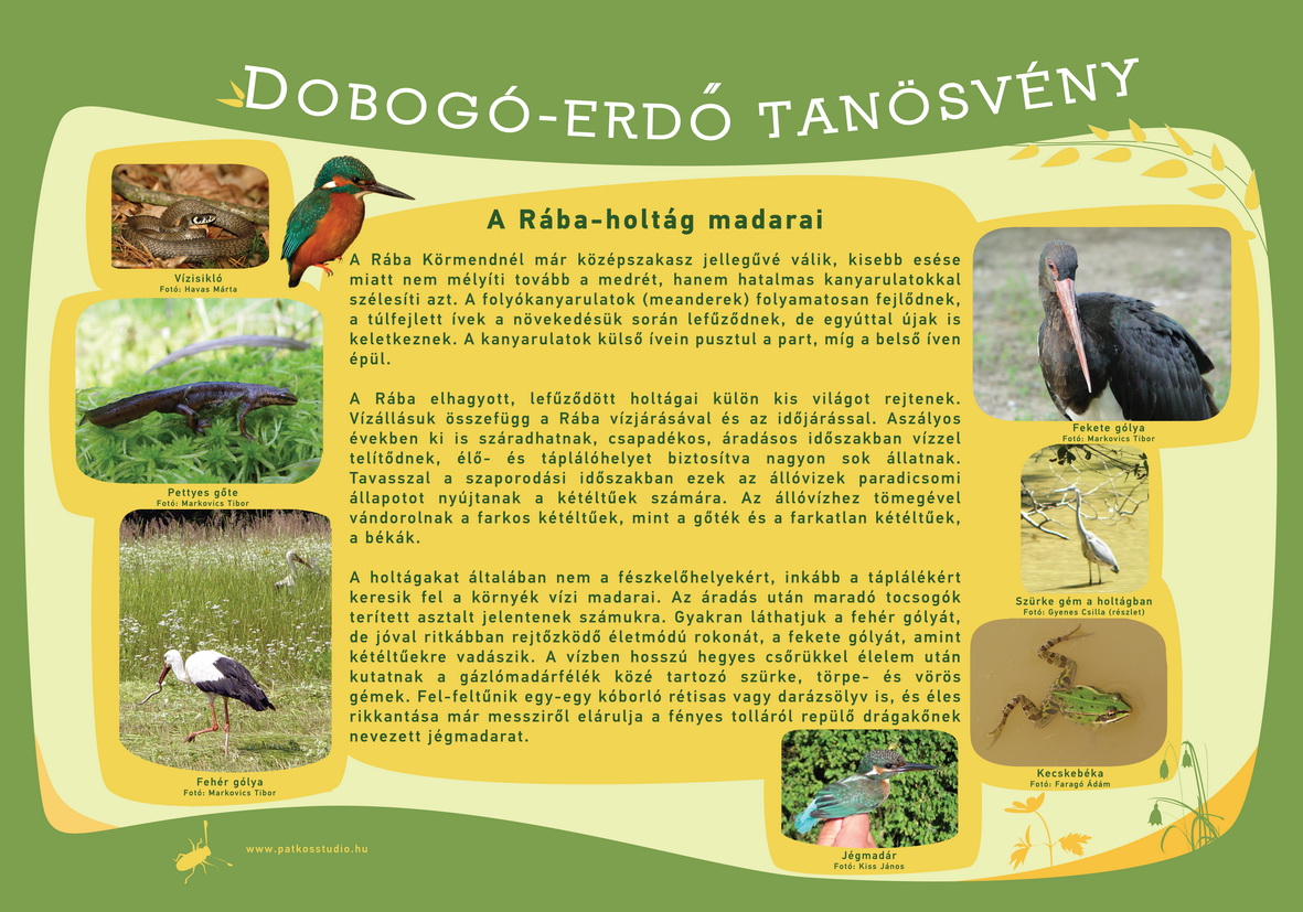 Dobogó-erdő tanösvény