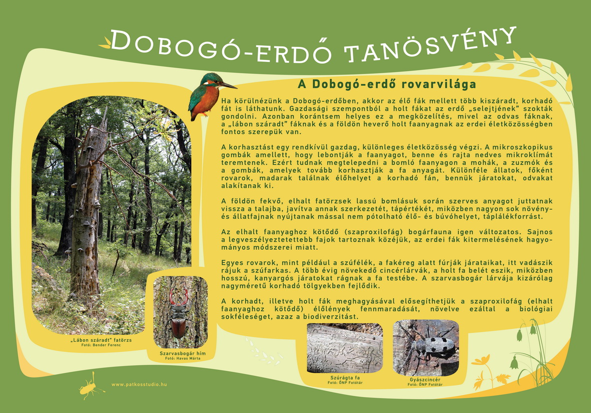 Dobogó-erdő tanösvény