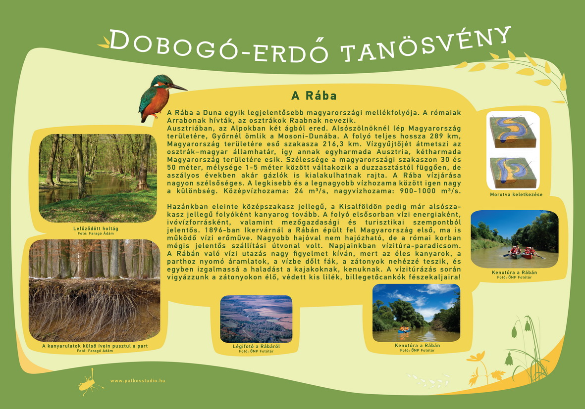 Dobogó-erdő tanösvény