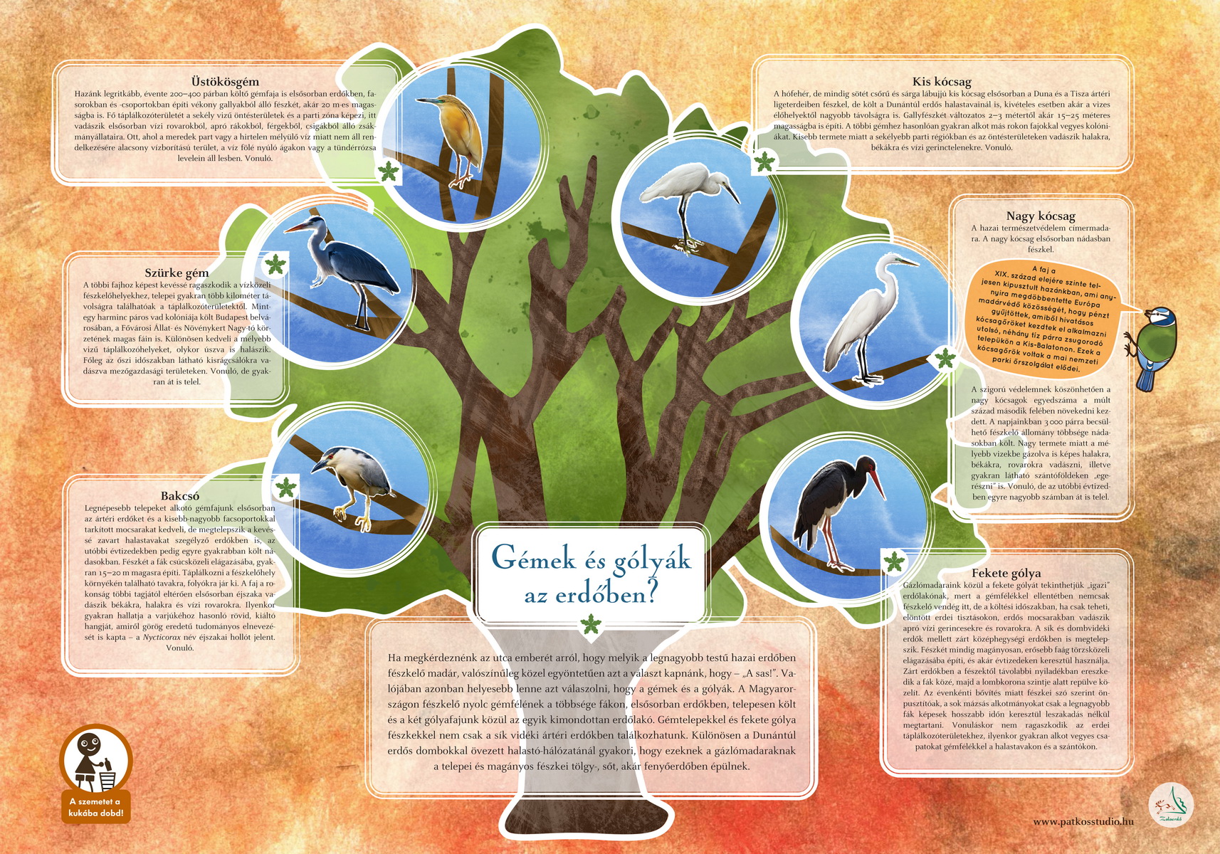 Madárerdő tanösvény, Zalaegerszeg és Nagykanizsa