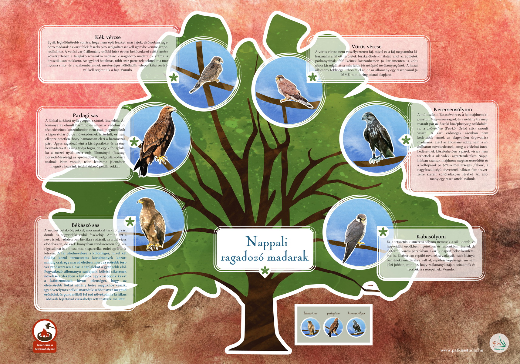 Madárerdő tanösvény, Zalaegerszeg és Nagykanizsa