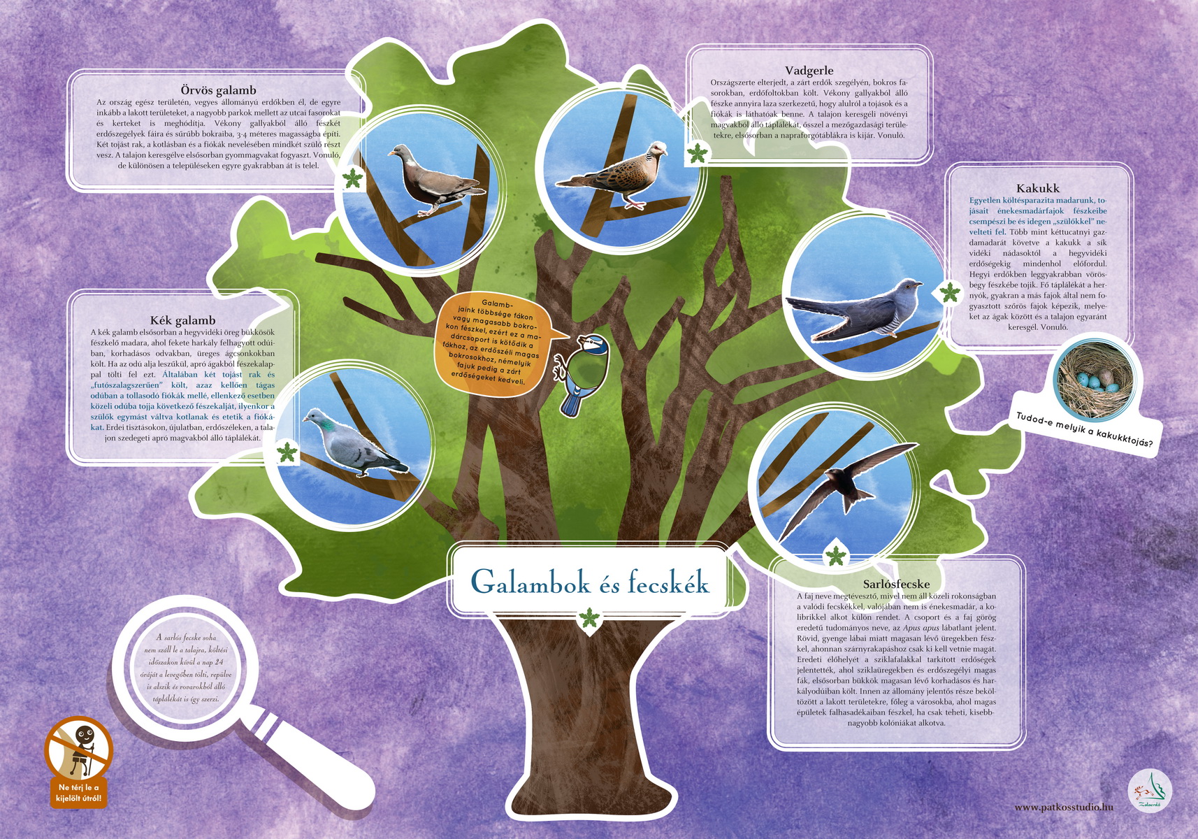 Madárerdő tanösvény, Zalaegerszeg és Nagykanizsa