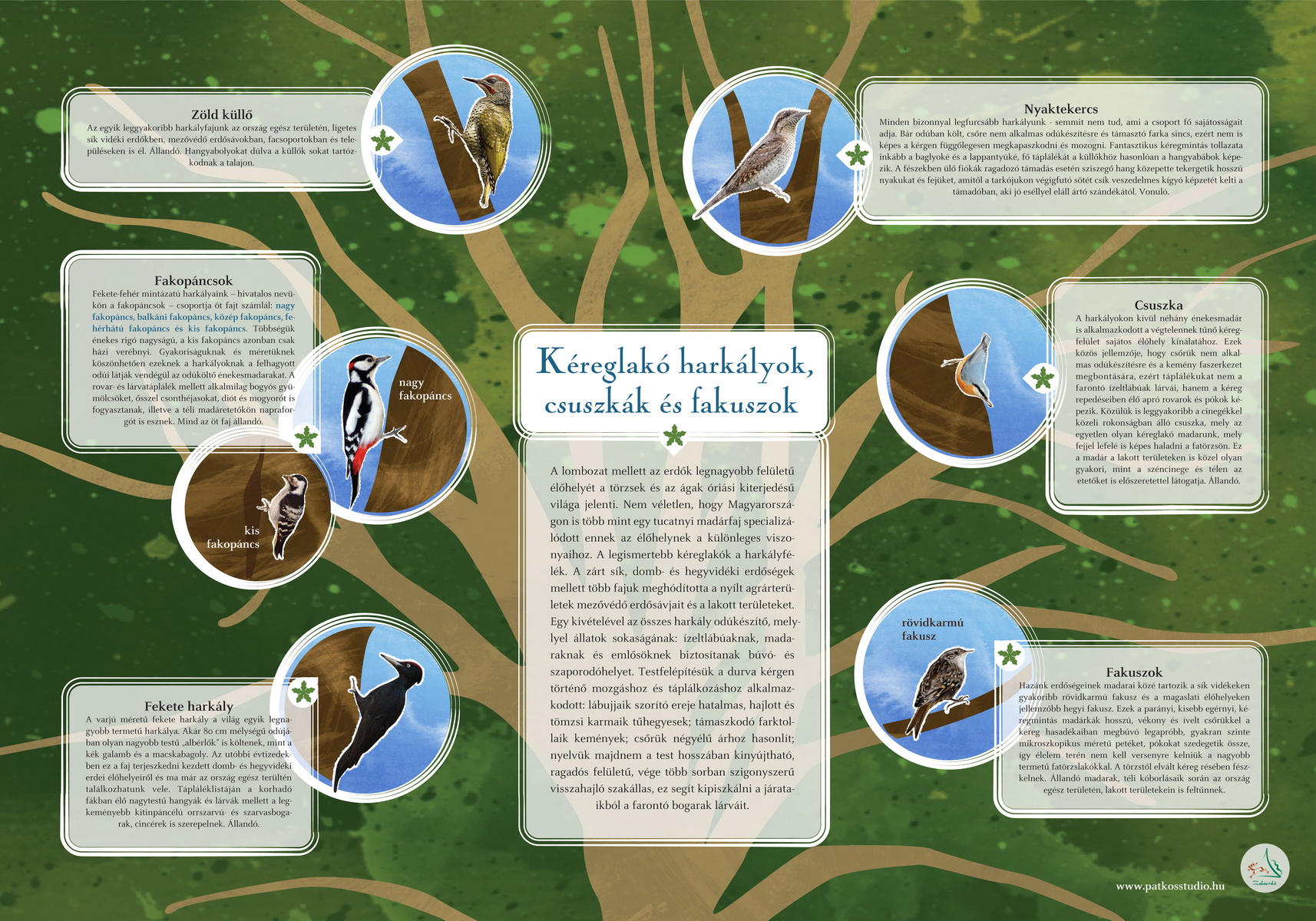 Madárerdő tanösvény, Zalaegerszeg és Nagykanizsa