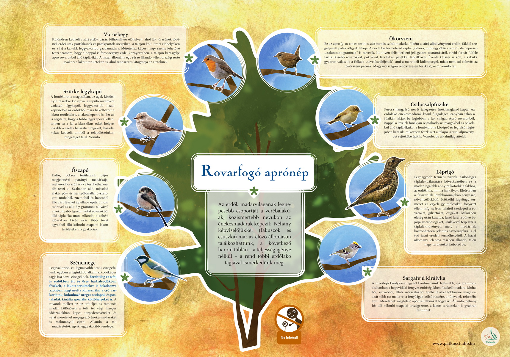 Madárerdő tanösvény, Zalaegerszeg és Nagykanizsa