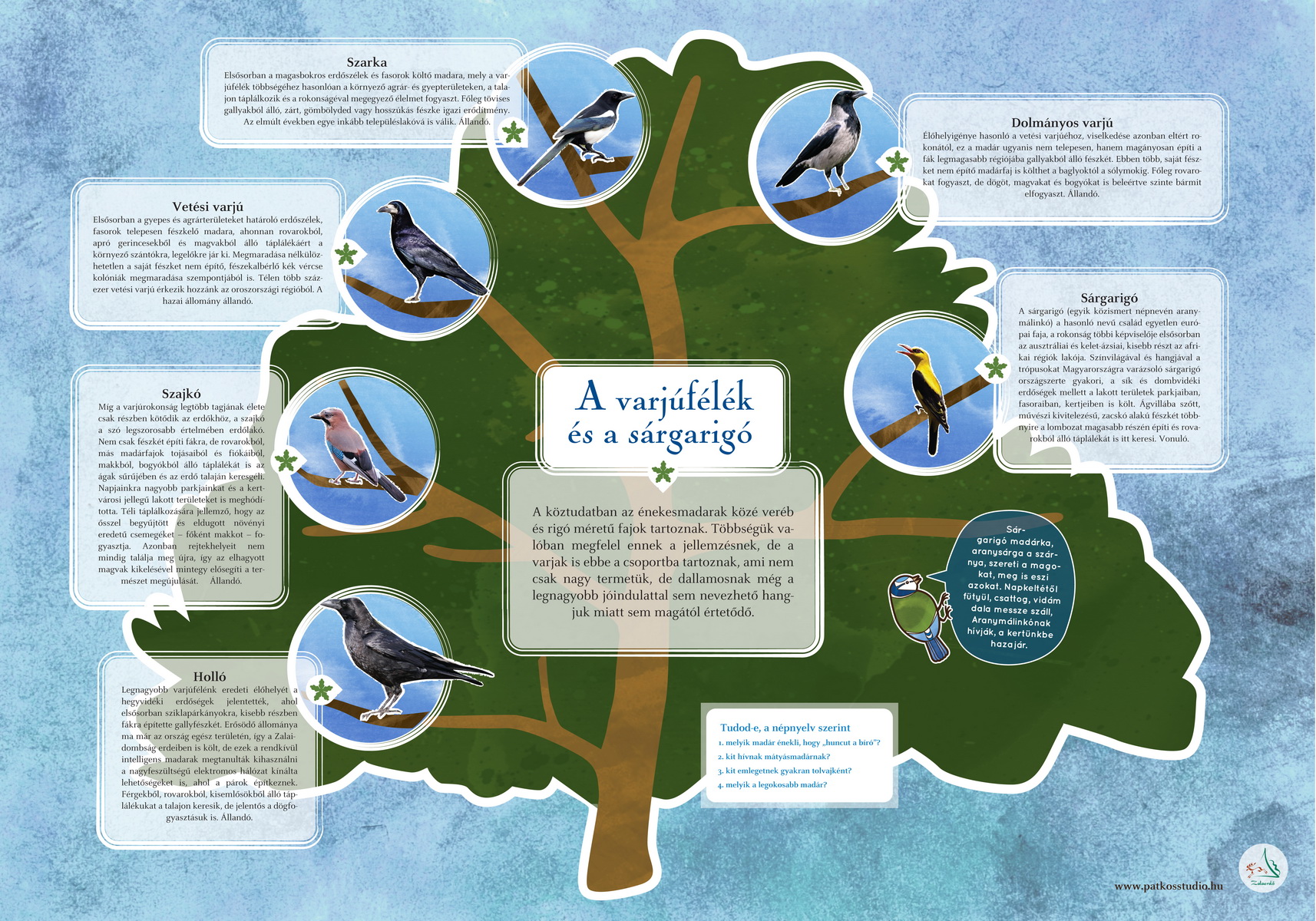 Madárerdő tanösvény, Zalaegerszeg és Nagykanizsa