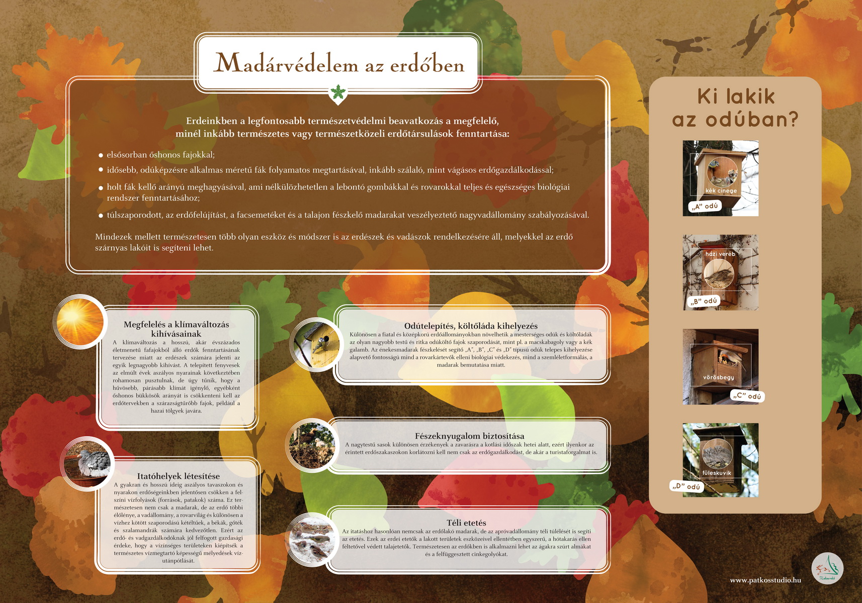 Madárerdő tanösvény, Zalaegerszeg és Nagykanizsa