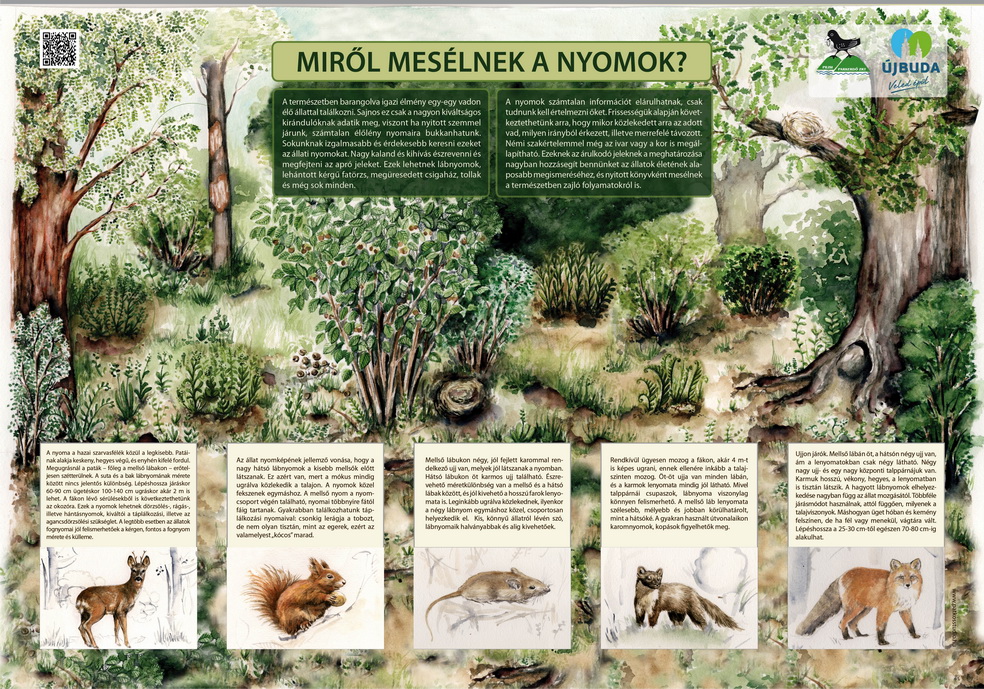 Kamaraerdei Tanösvény fejlesztése - új tanösvénytáblák