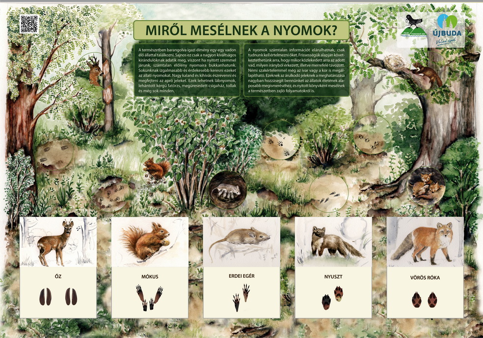 Kamaraerdei Tanösvény fejlesztése - új tanösvénytáblák