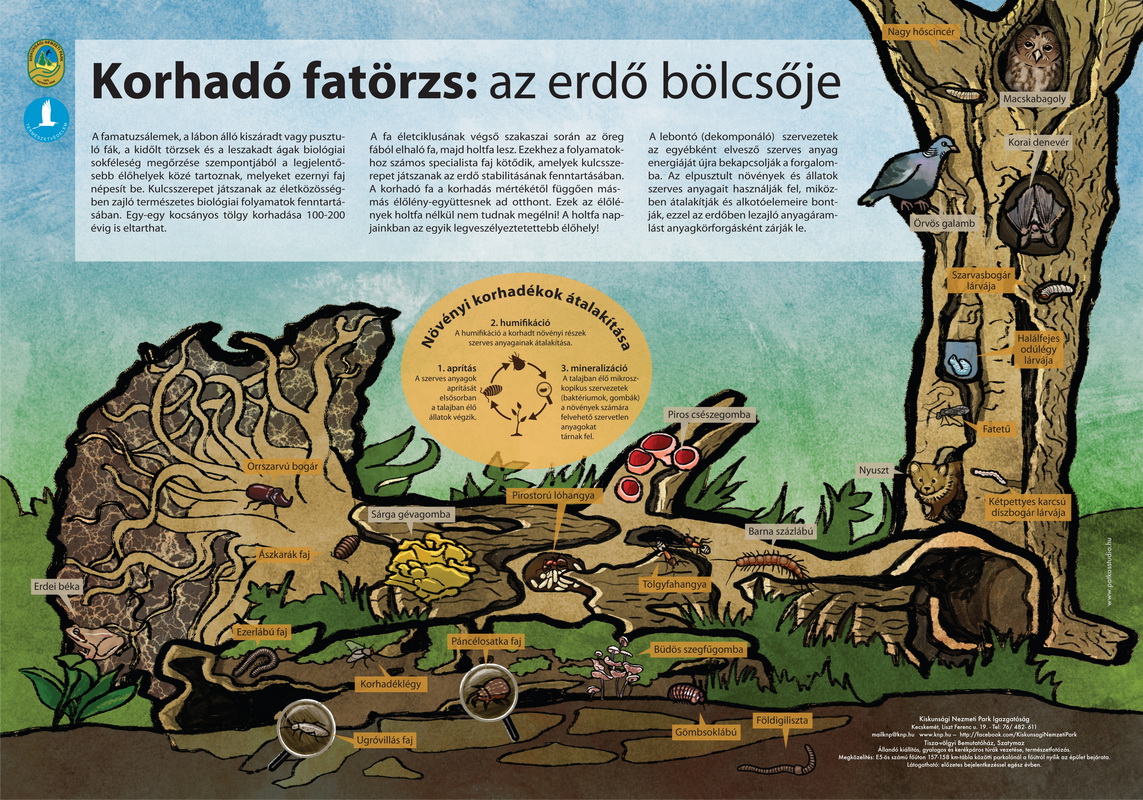 Tanösvénytáblák a Pusztaszeri Tájvédelmi Körzetben