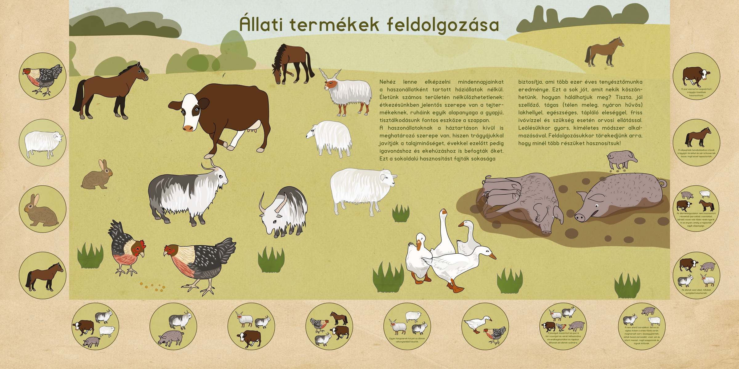 Tanösvény a szaporcai Ős-Dráva Látogatóközpont udvarán