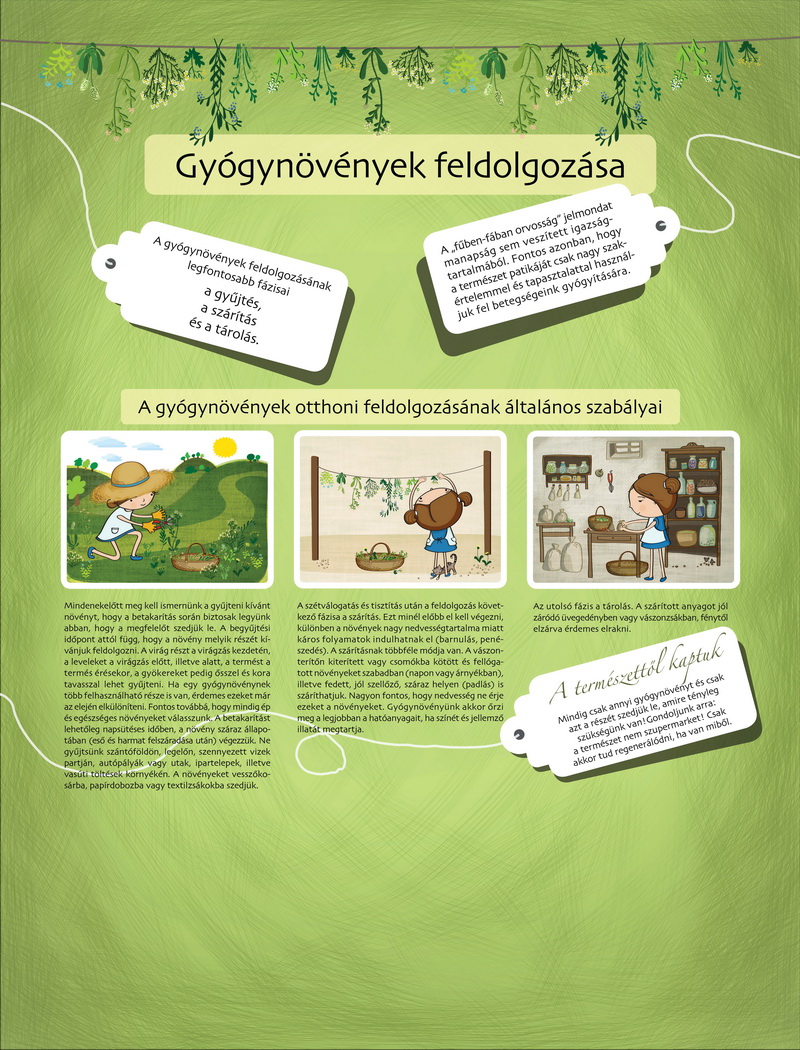 Tanösvény a szaporcai Ős-Dráva Látogatóközpont udvarán