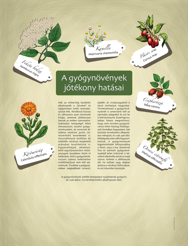 Tanösvény a szaporcai Ős-Dráva Látogatóközpont udvarán