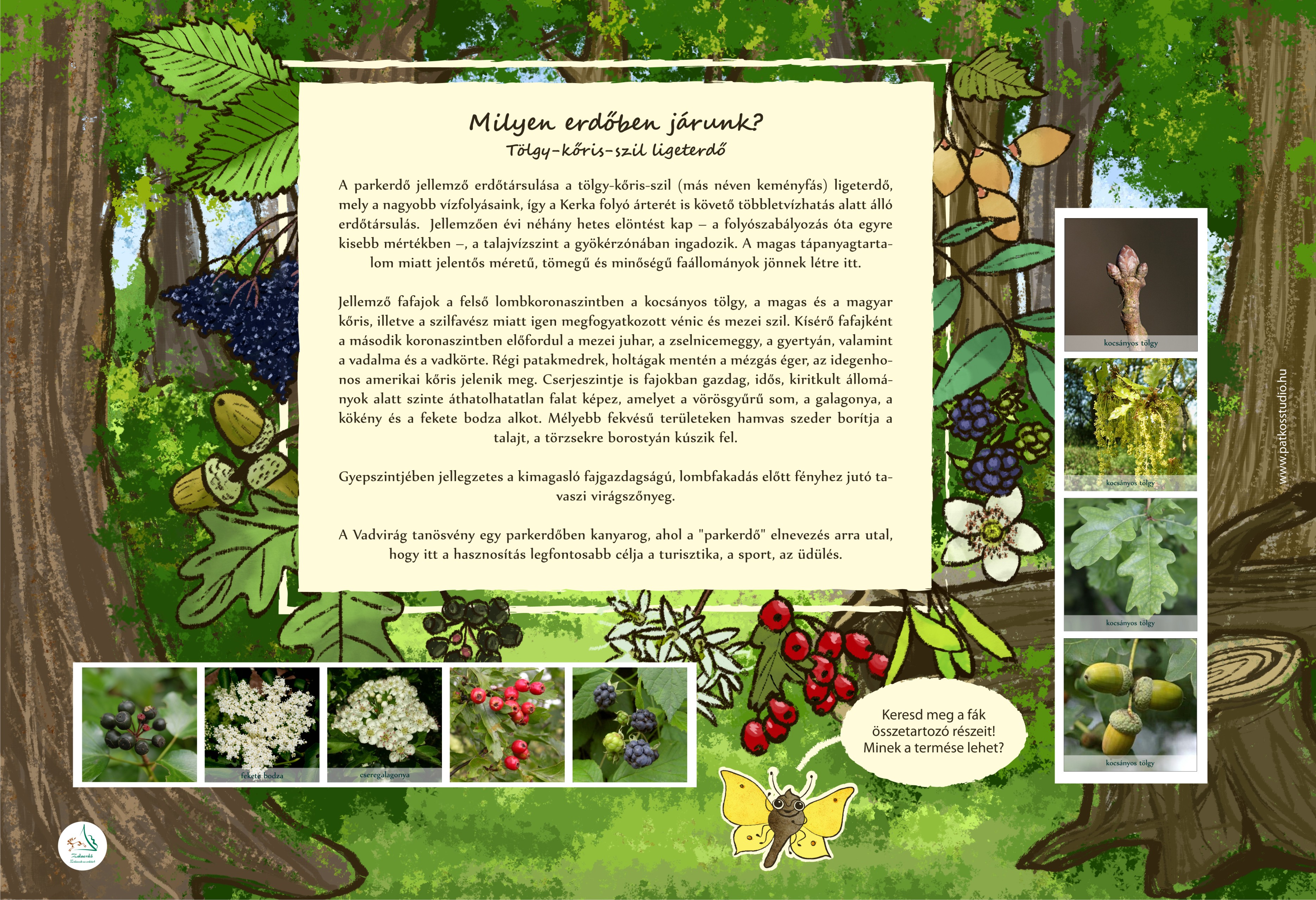 Vadvirág tanösvény, Lenti