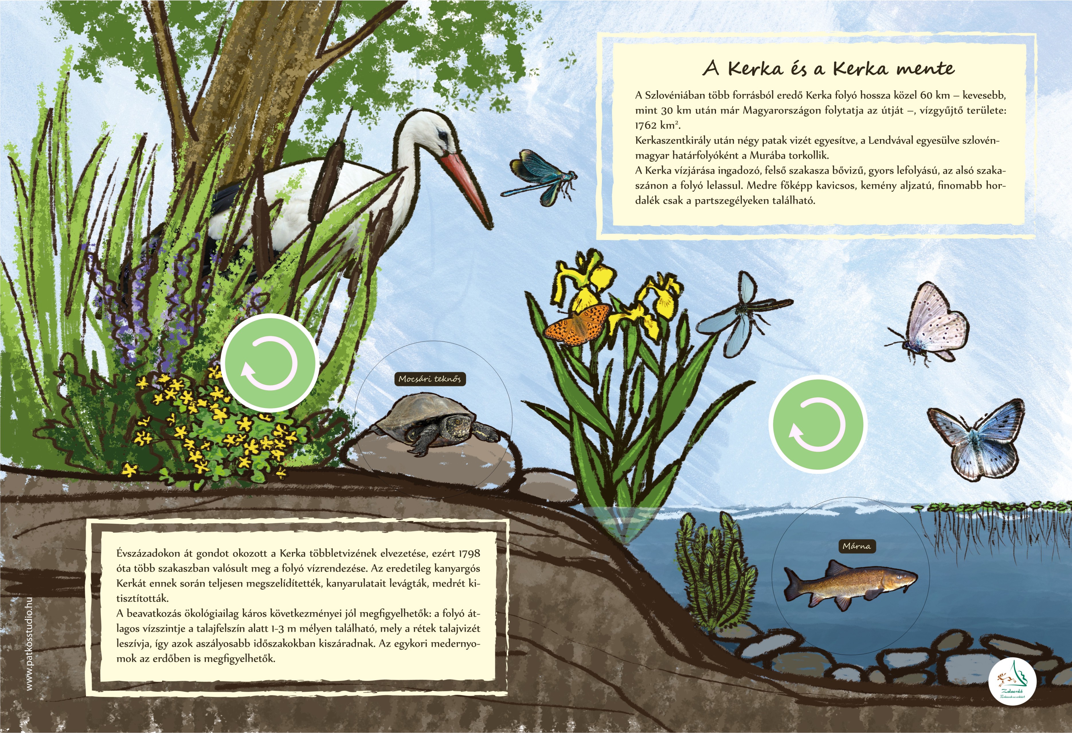 Vadvirág tanösvény, Lenti