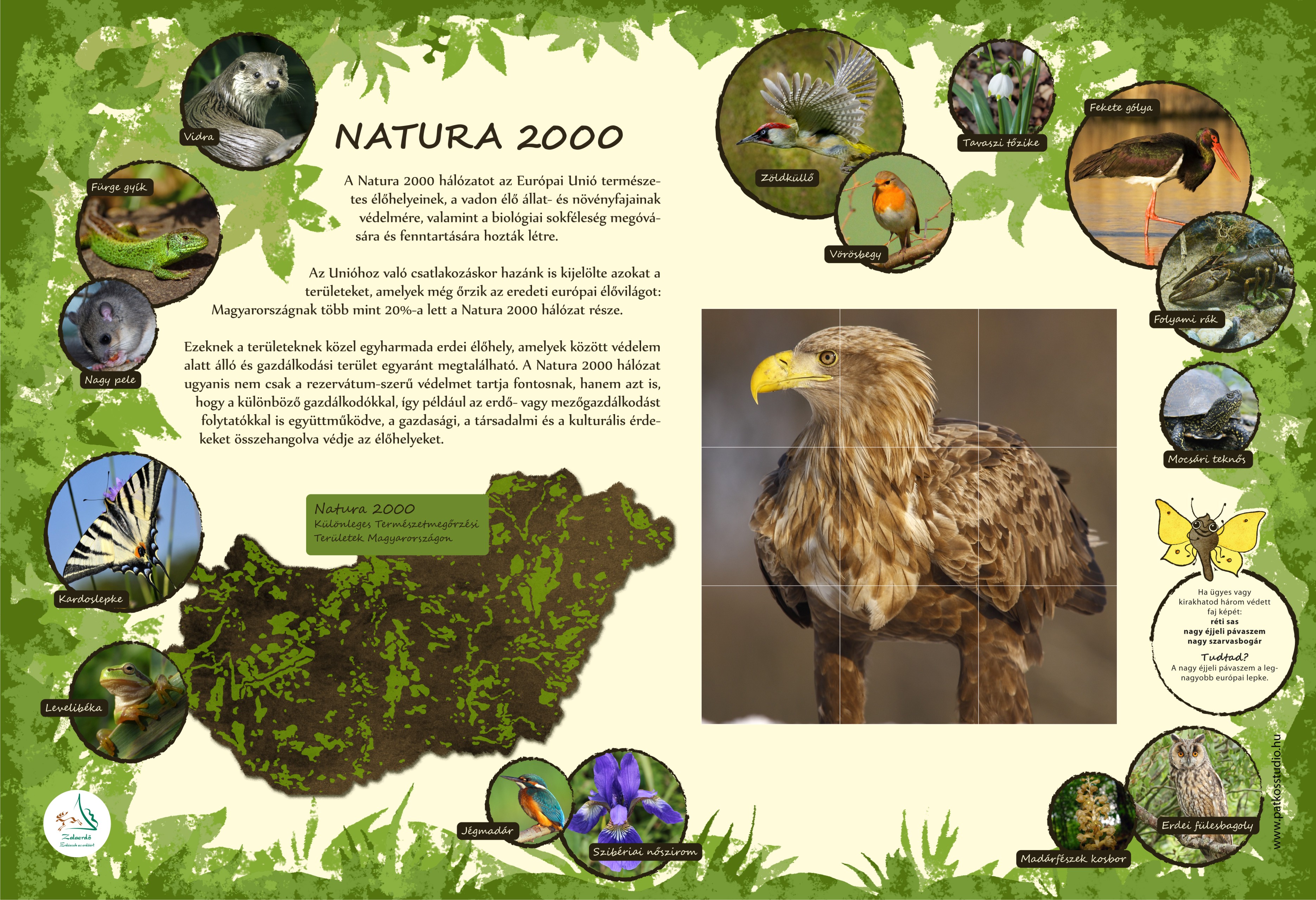 Vadvirág tanösvény, Lenti