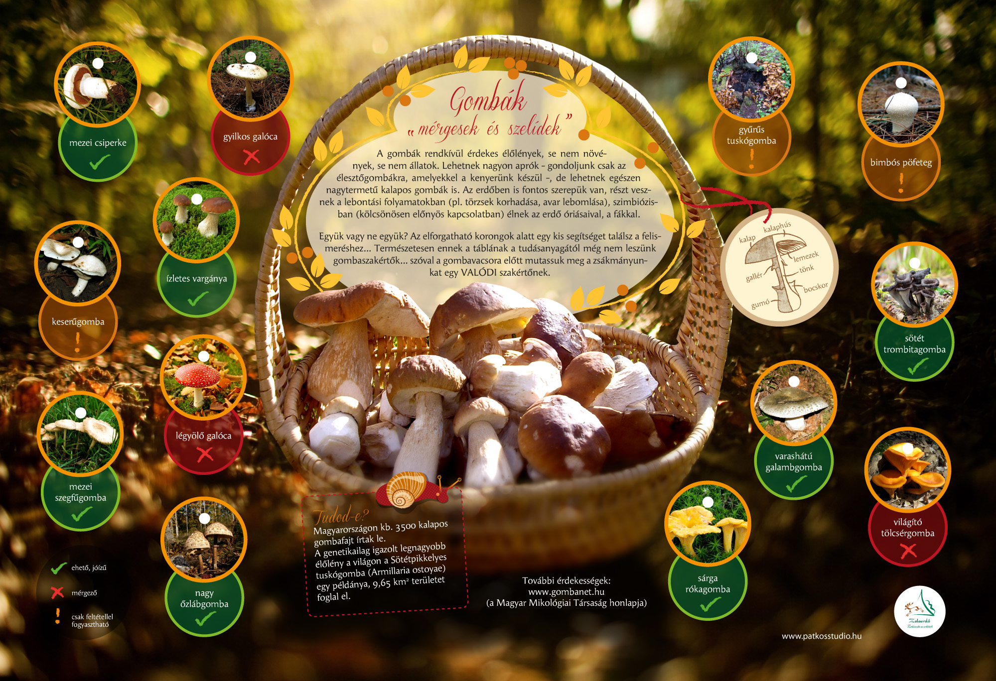 Csiga-túra tanösvény, Zalakaros