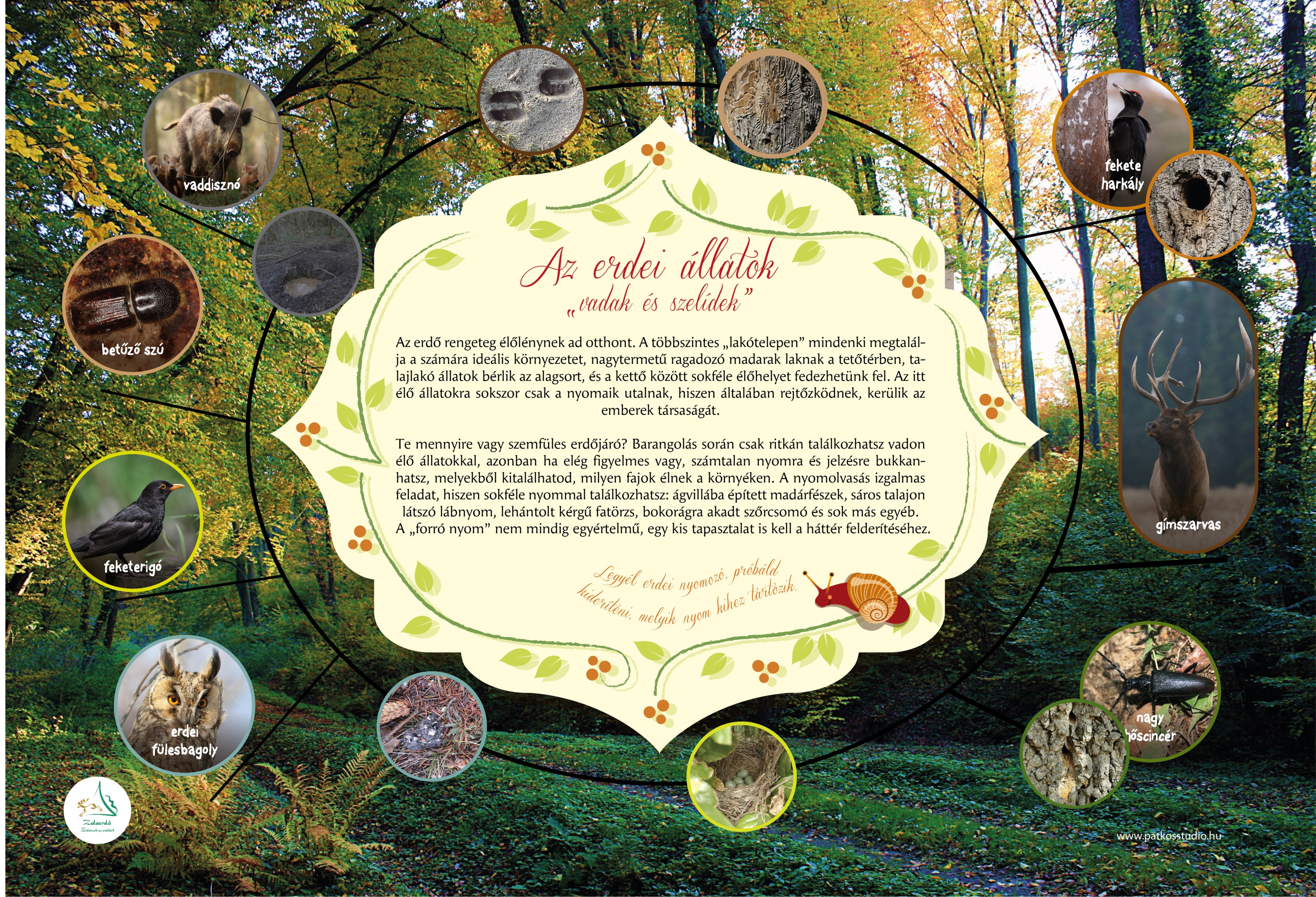 Csiga-túra tanösvény, Zalakaros