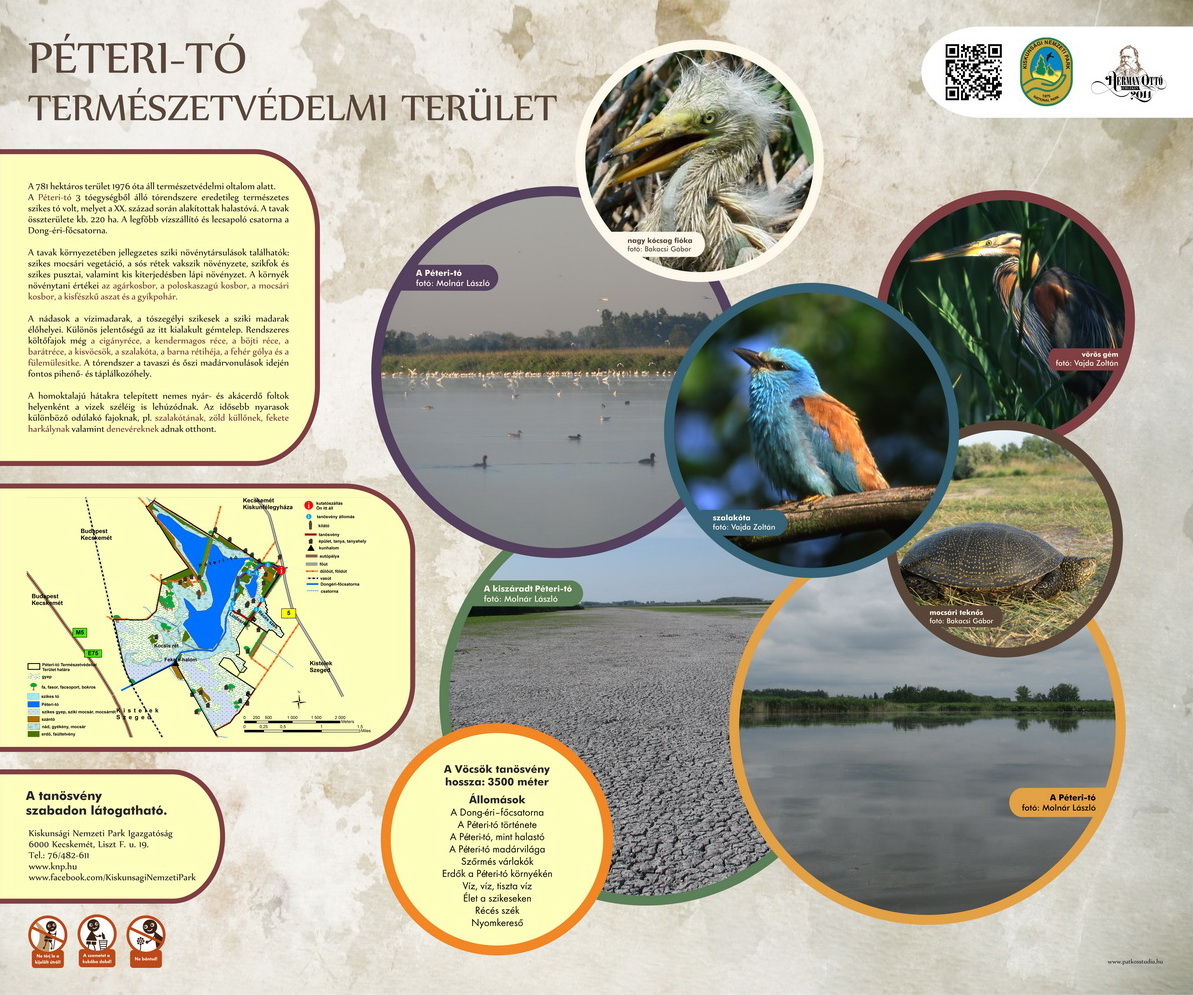 Vöcsök tanösvény, Péteri-tó, Kiskunsági Nemzeti Park