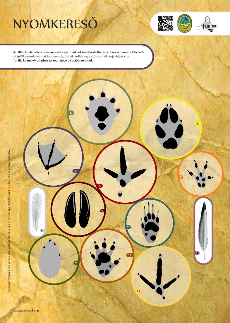 Vöcsök tanösvény, Péteri-tó, Kiskunsági Nemzeti Park