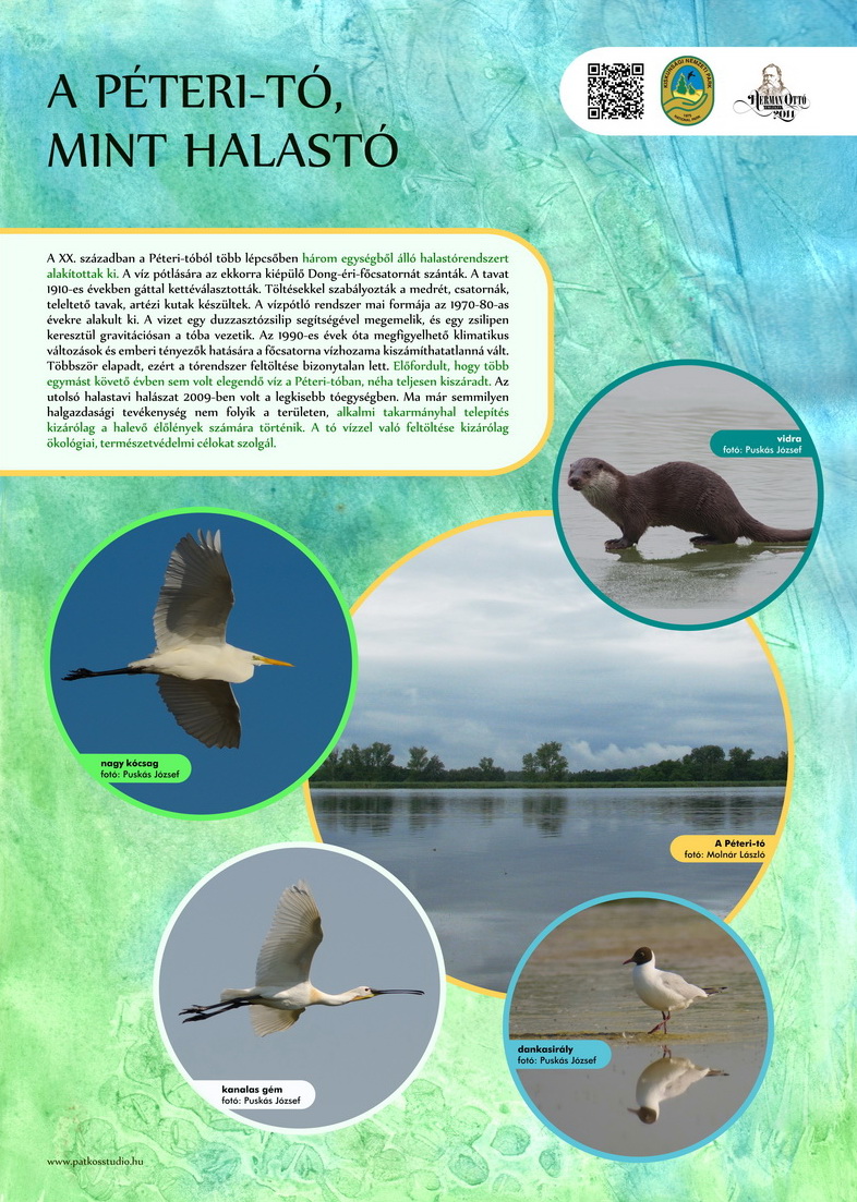 Vöcsök tanösvény, Péteri-tó, Kiskunsági Nemzeti Park