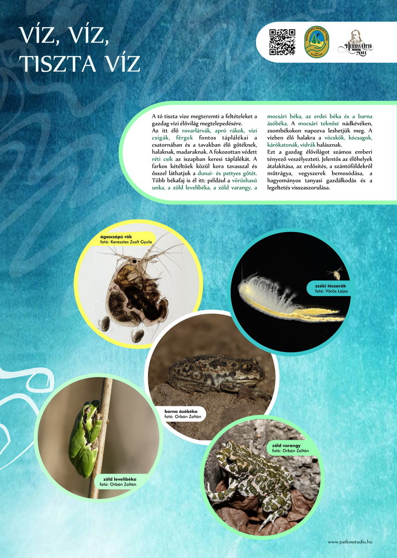 Vöcsök tanösvény, Péteri-tó, Kiskunsági Nemzeti Park