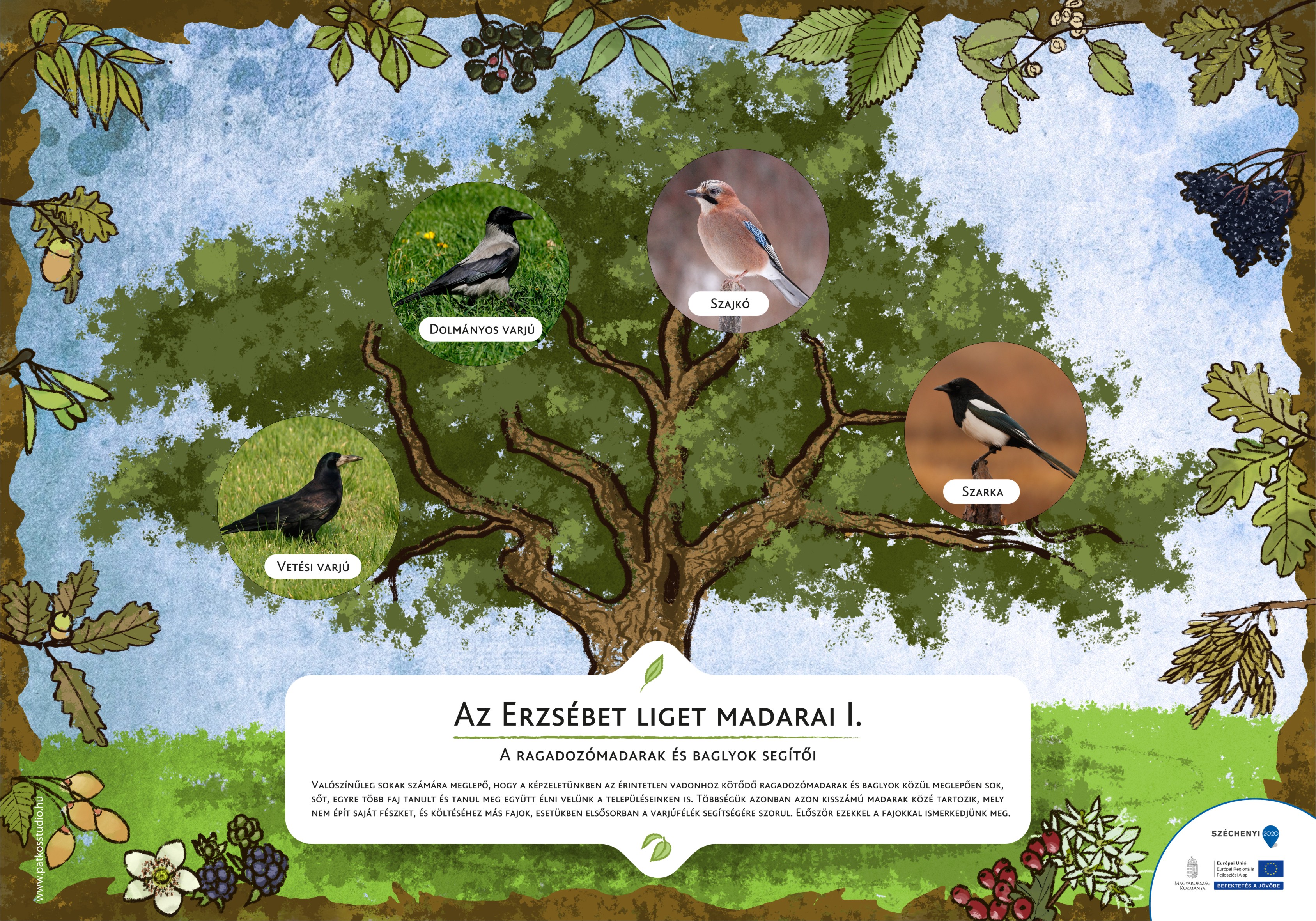 Erzsébet ligeti tanösvény, Gyomaendrőd