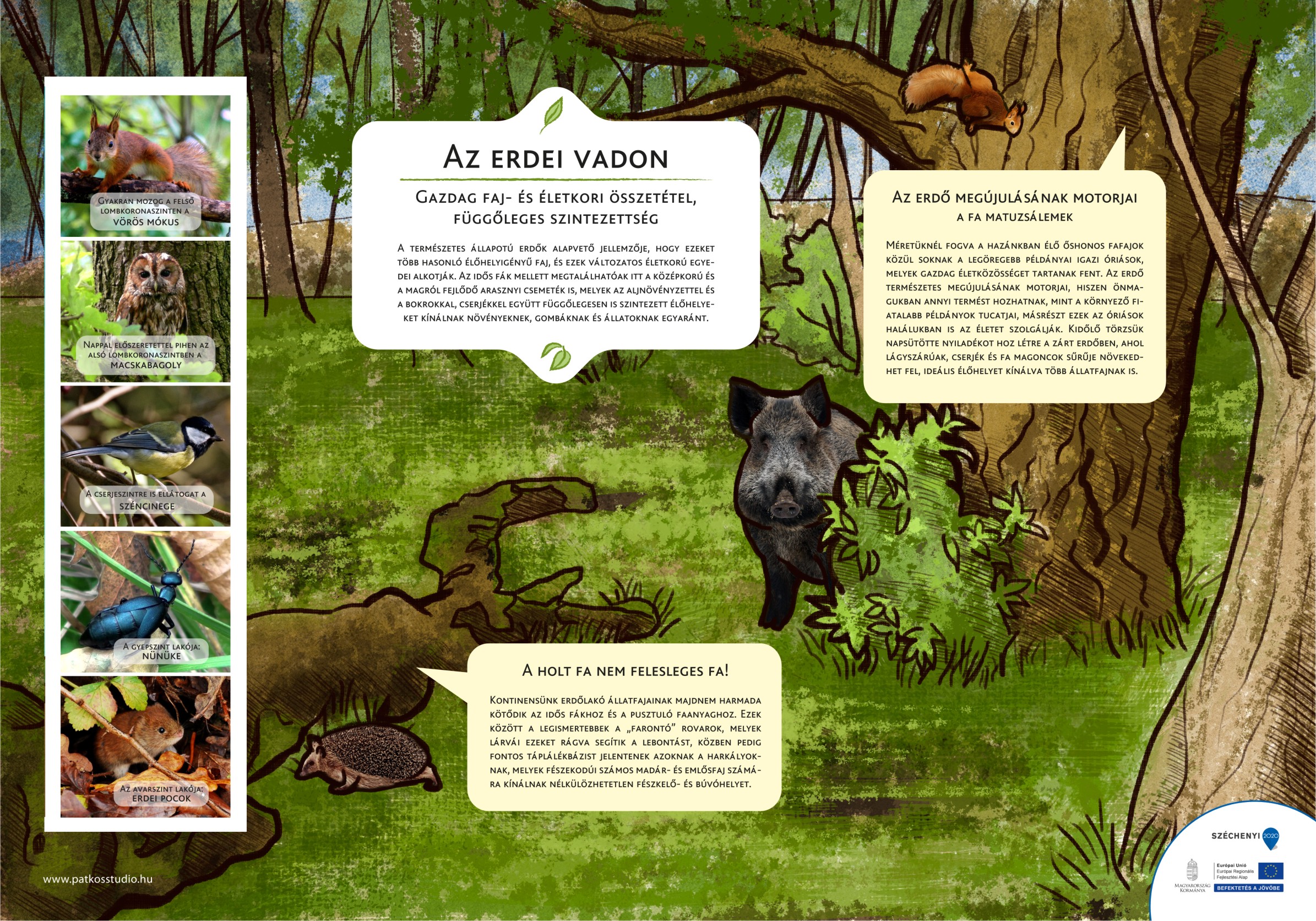 Erzsébet ligeti tanösvény, Gyomaendrőd