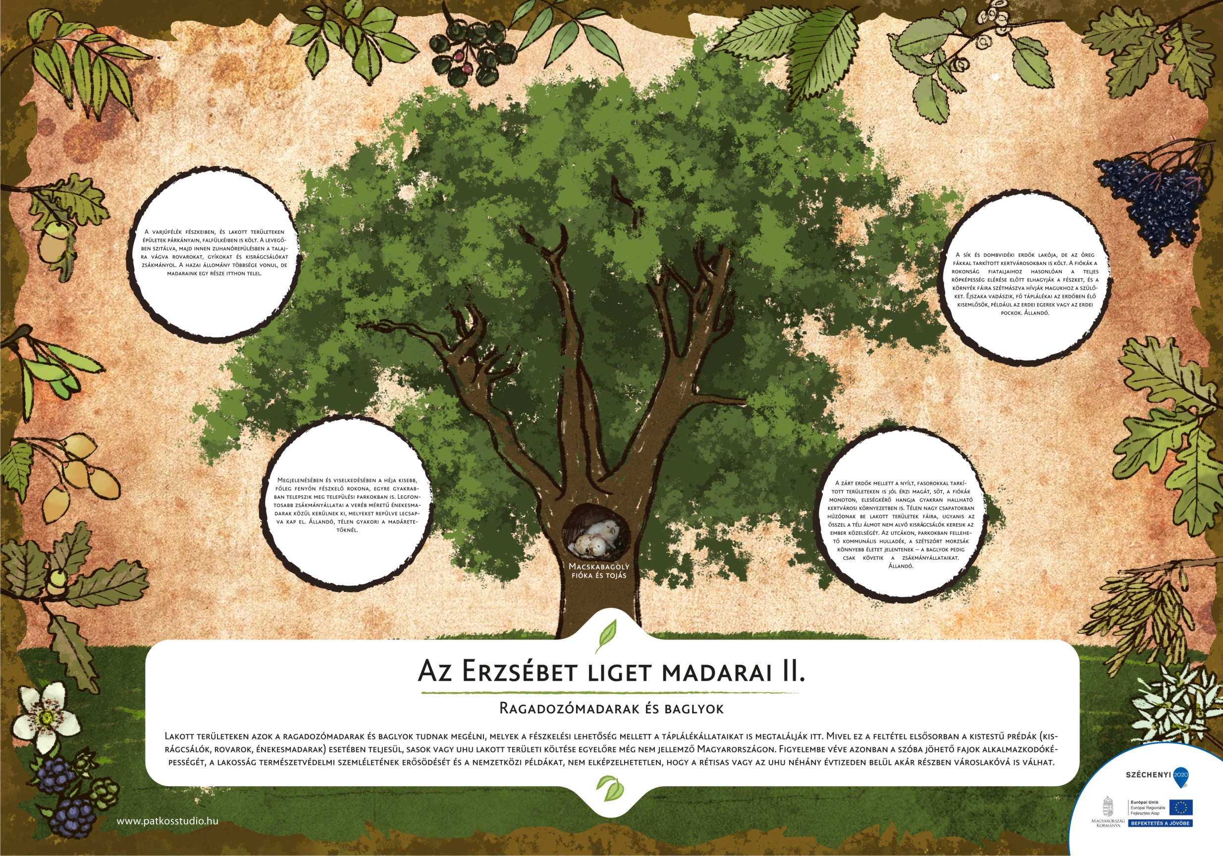 Erzsébet ligeti tanösvény, Gyomaendrőd