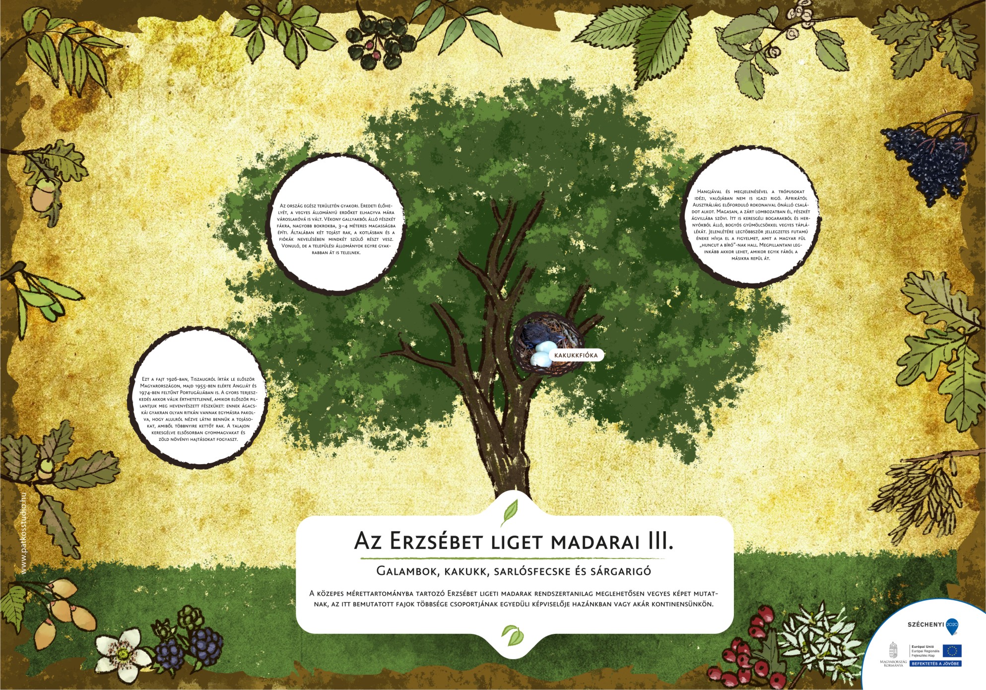 Erzsébet ligeti tanösvény, Gyomaendrőd