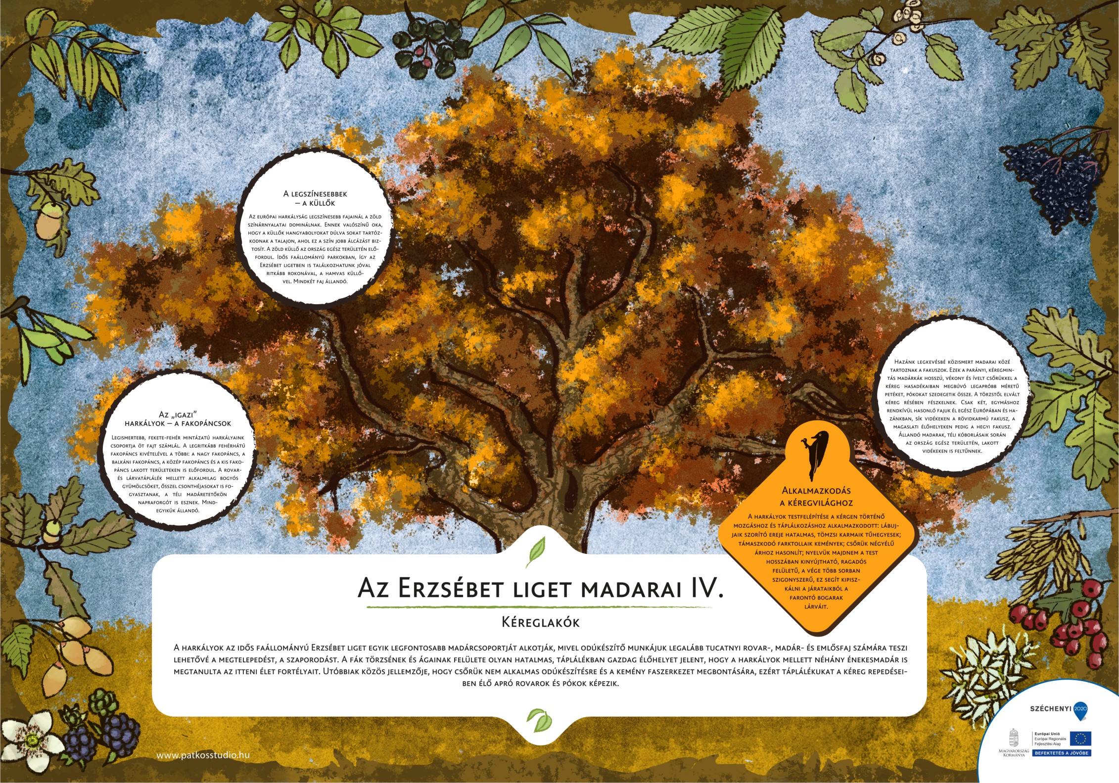 Erzsébet ligeti tanösvény, Gyomaendrőd