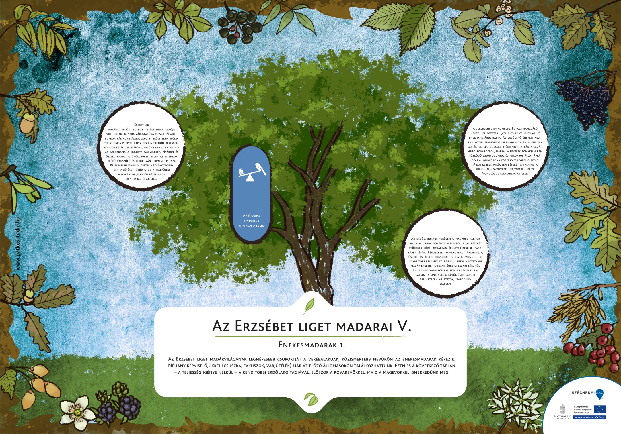 Erzsébet ligeti tanösvény, Gyomaendrőd