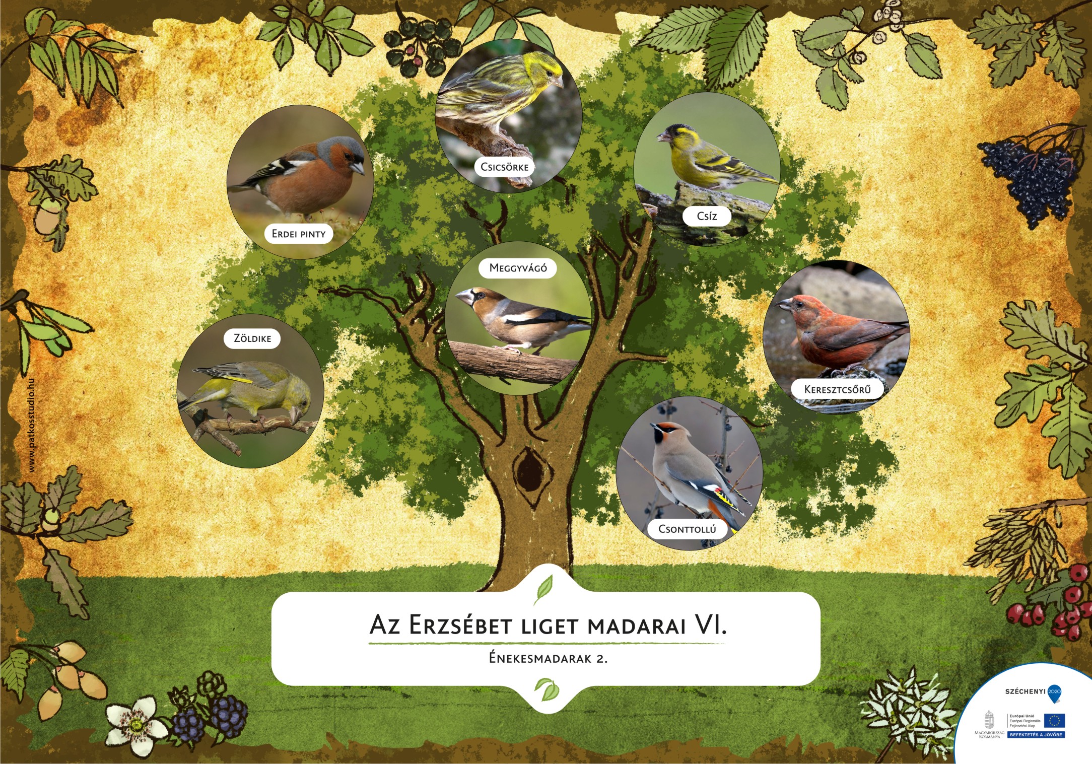 Erzsébet ligeti tanösvény, Gyomaendrőd