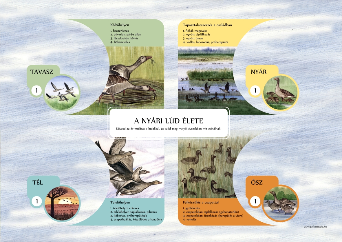 Interaktív élményösvény a Lászlómajorban, Fertő-Hanság Nemzeti Park