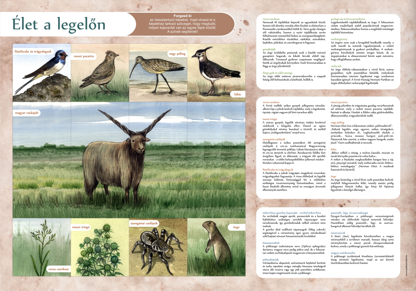 Interaktív élményösvény a Lászlómajorban, Fertő-Hanság Nemzeti Park