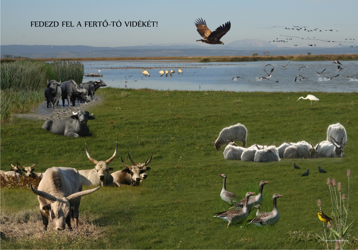 Interaktív élményösvény a Lászlómajorban, Fertő-Hanság Nemzeti Park