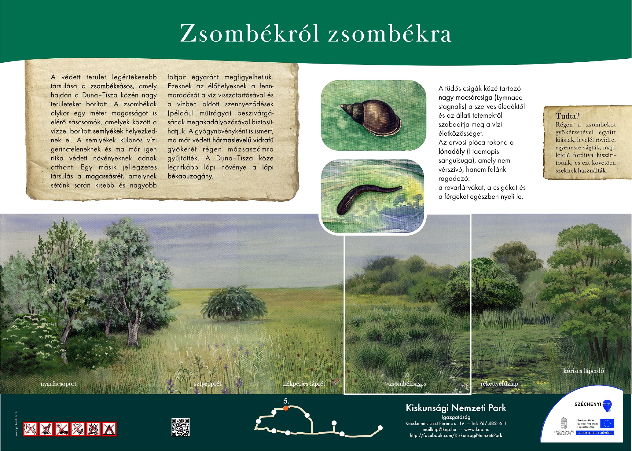 Tanösvény a Fejetéki-mocsáron, Kiskunsági Nemzeti Park