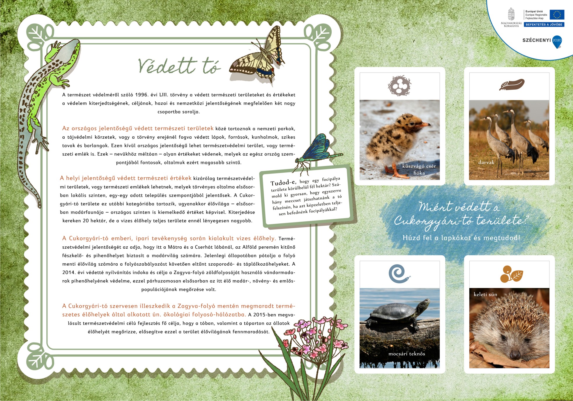 Cukorgyári-tó tanösvény, Hatvan