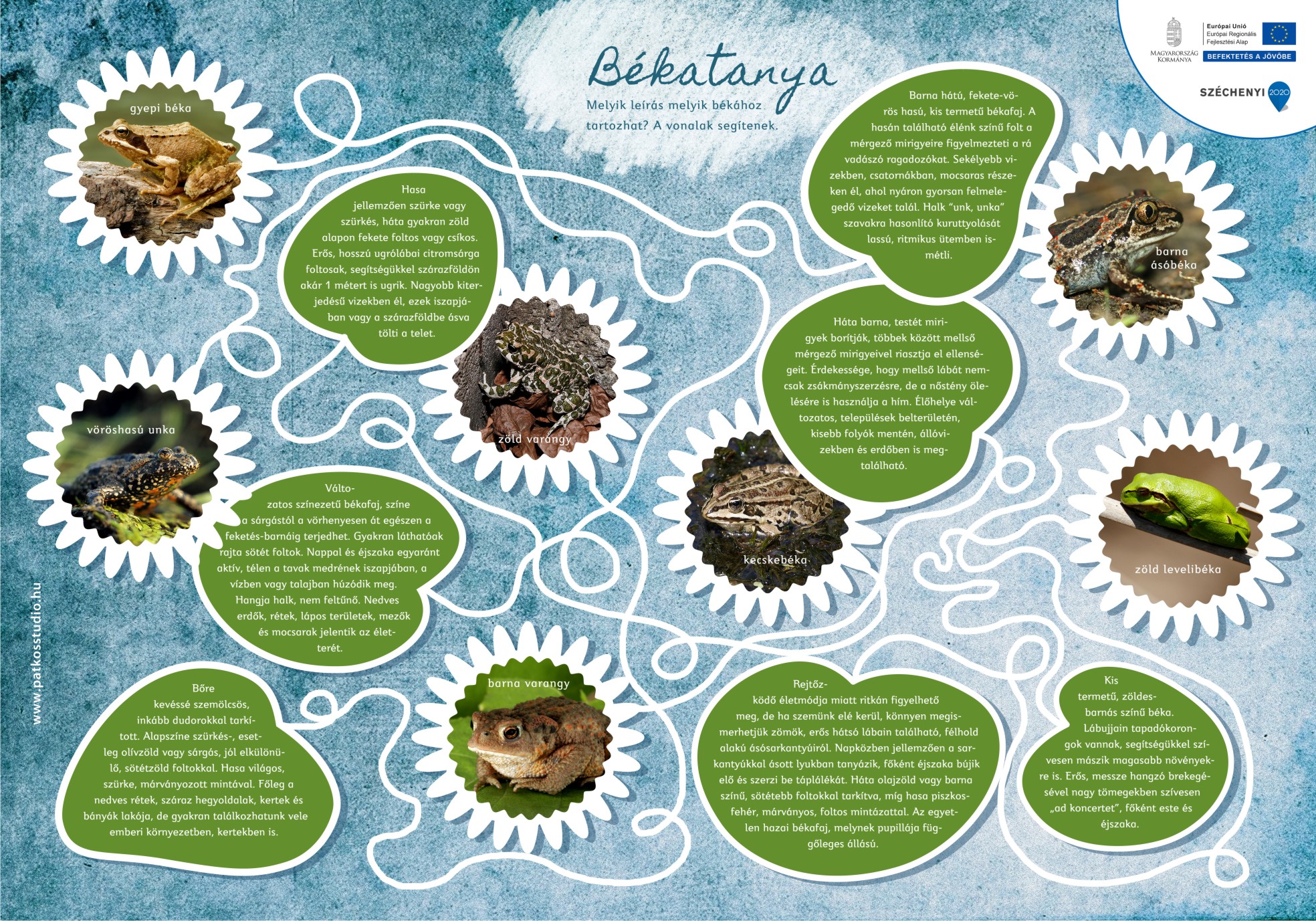 Cukorgyári-tó tanösvény, Hatvan