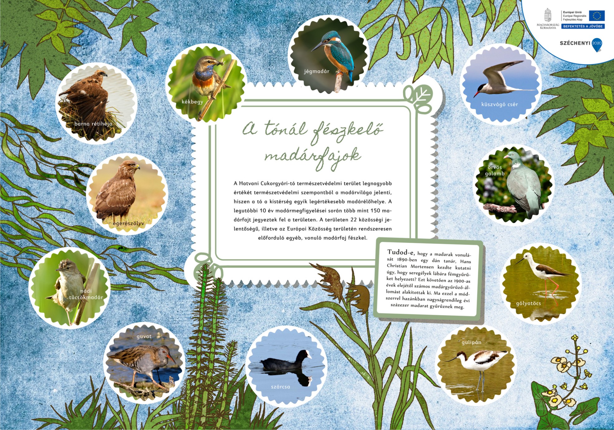 Cukorgyári-tó tanösvény, Hatvan