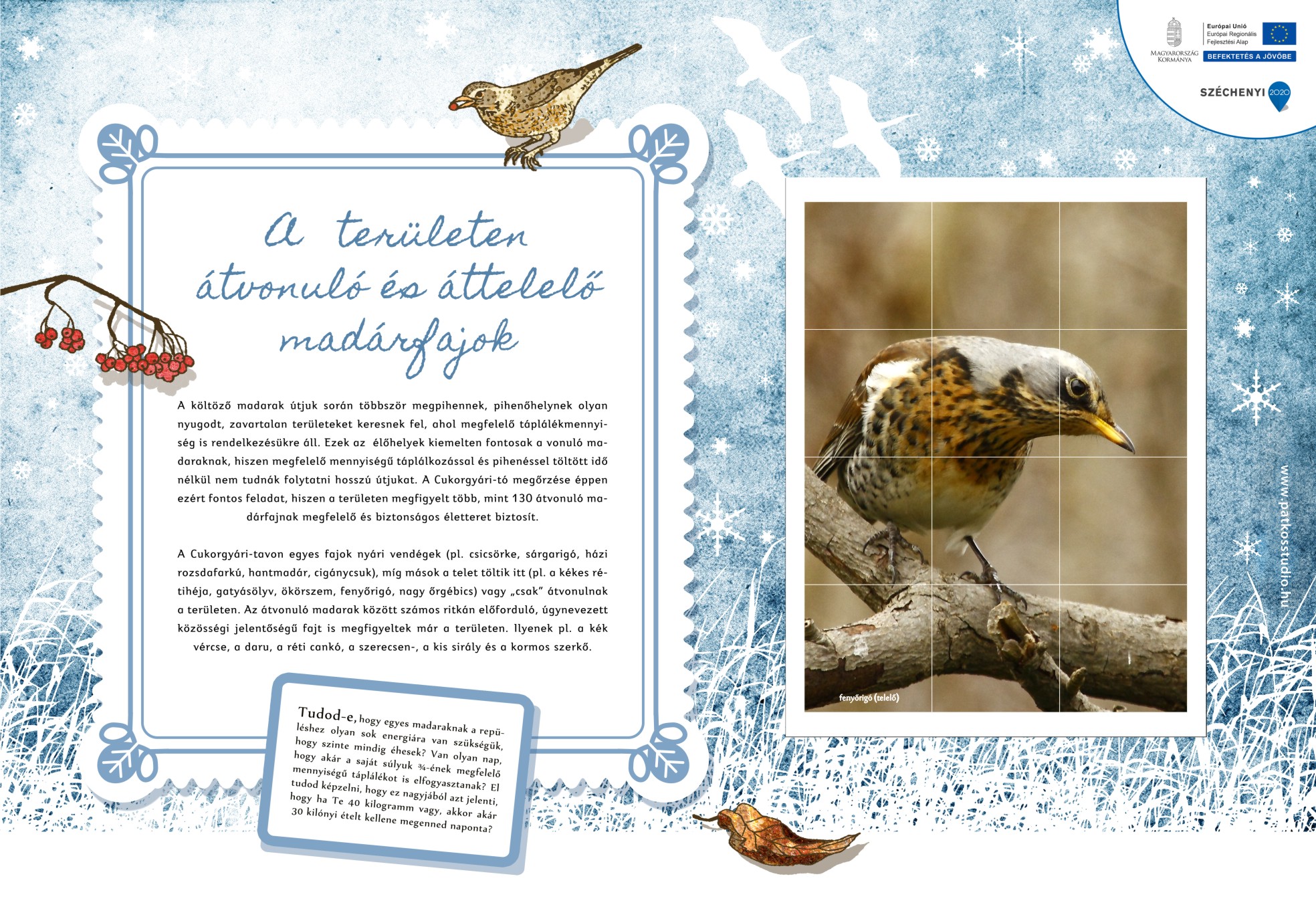 Cukorgyári-tó tanösvény, Hatvan