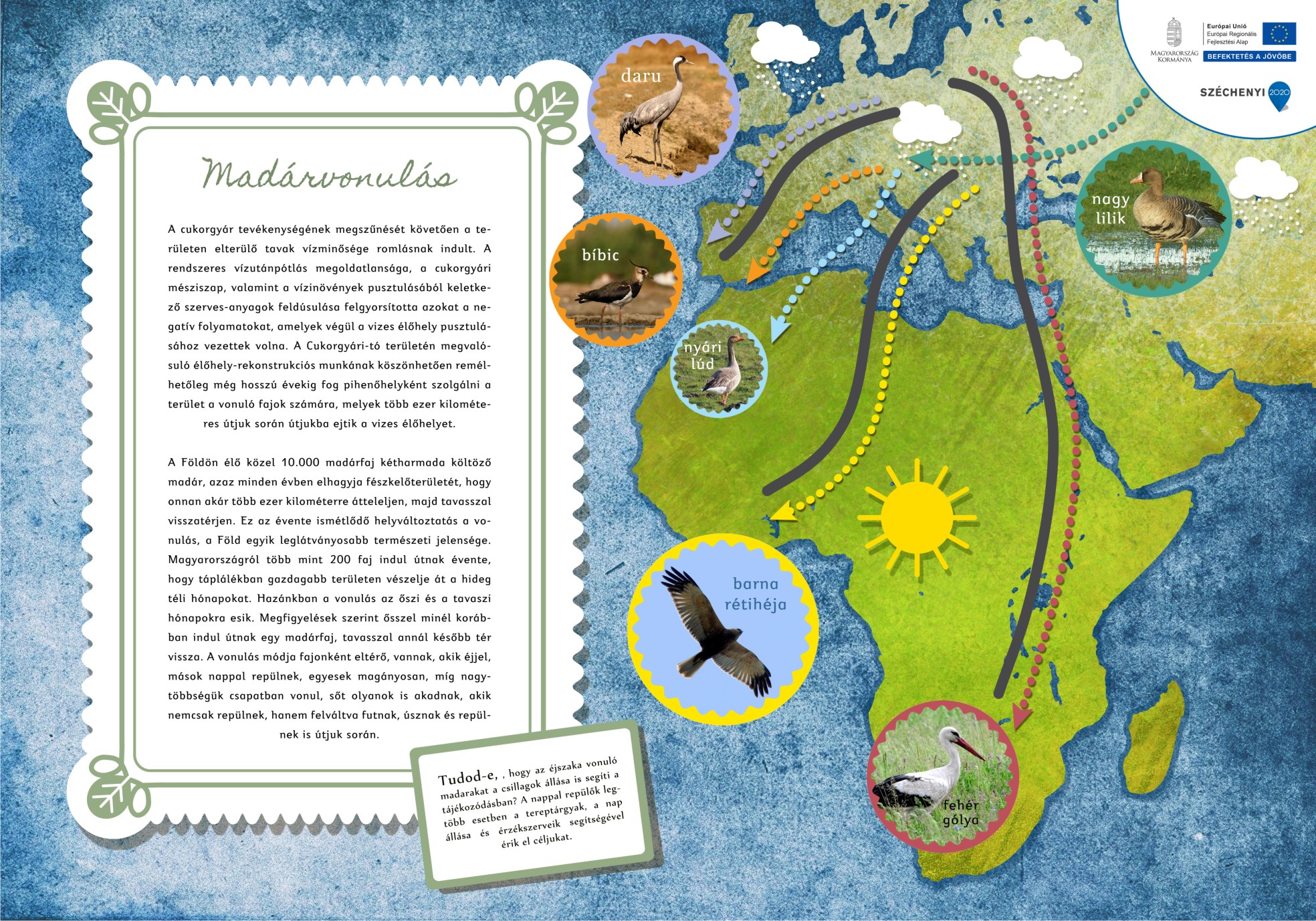 Cukorgyári-tó tanösvény, Hatvan